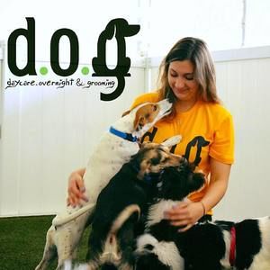 Meet your Posher, Ninamarie